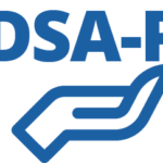 DSA-P (Dynamic Search Ads for Products)